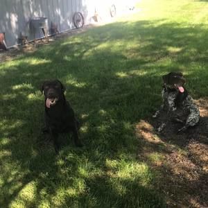 Meet your Posher, Derek